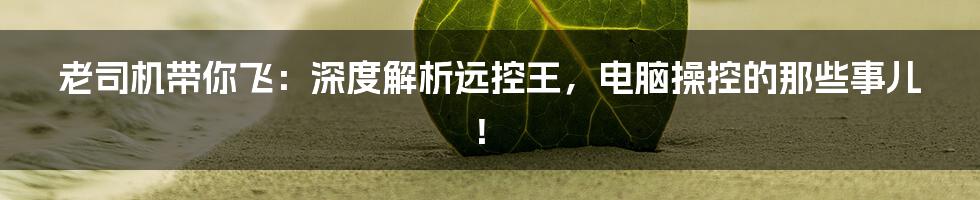 老司机带你飞:深度解析远控王,电脑操控的那些事儿!