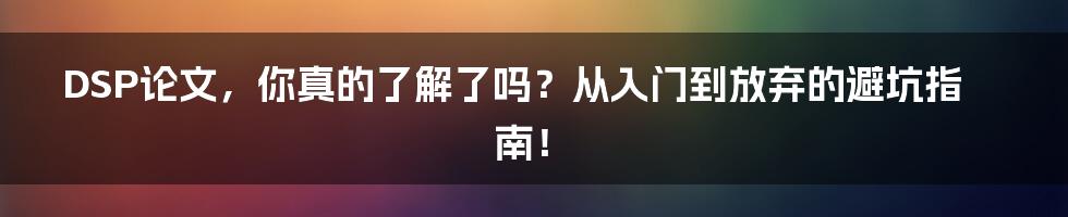 DSP论文,你真的了解了吗?从入门到放弃的避坑指南!