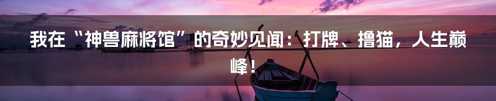 我在“神兽麻将馆”的奇妙见闻：打牌、撸猫，人生巅峰！