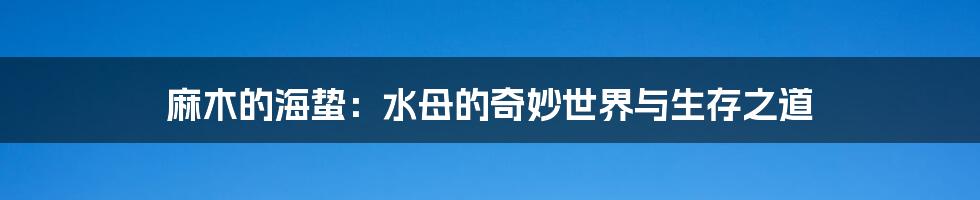 麻木的海蛰:水母的奇妙世界与生存之道