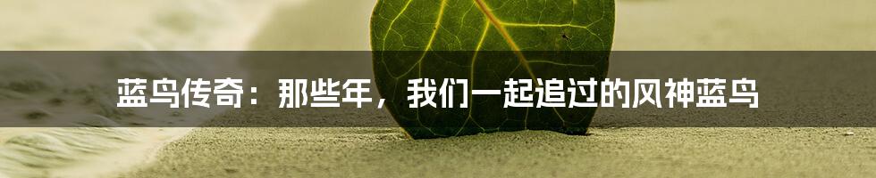 蓝鸟传奇:那些年,我们一起追过的风神蓝鸟