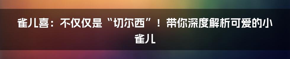 雀儿喜:不仅仅是“切尔西”!带你深度解析可爱的小雀儿