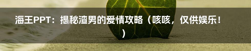 海王PPT:揭秘渣男的爱情攻略(咳咳,仅供娱乐!)