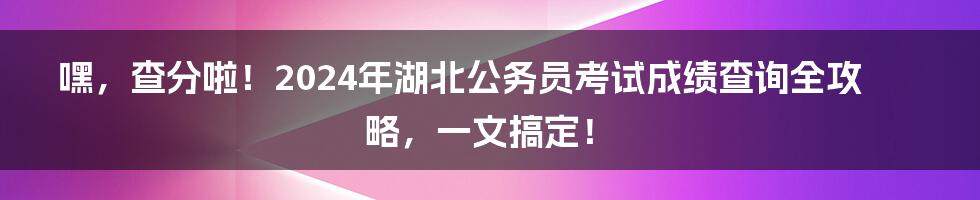 嘿,查分啦!2024年湖北公务员考试成绩查询全攻略,一文搞定!