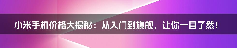 小米手机价格大揭秘：从入门到旗舰，让你一目了然！
