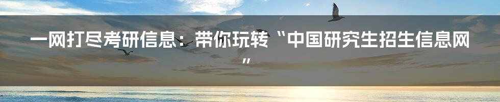 一网打尽考研信息:带你玩转“中国研究生招生信息网”