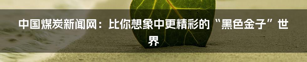 中国煤炭新闻网:比你想象中更精彩的“黑色金子”世界