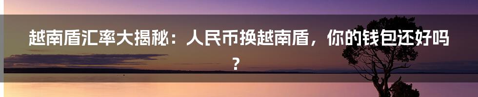 越南盾汇率大揭秘:人民币换越南盾,你的钱包还好吗?