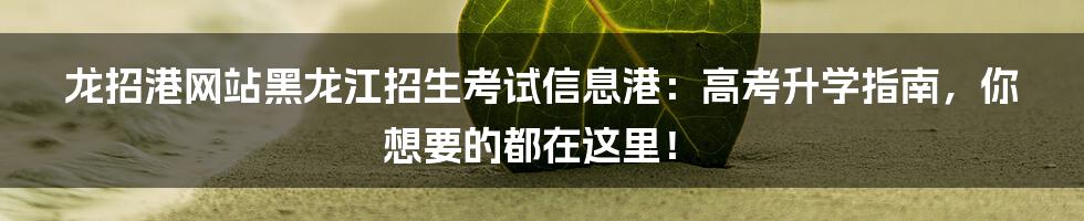 龙招港网站黑龙江招生考试信息港:高考升学指南,你想要的都在这里!