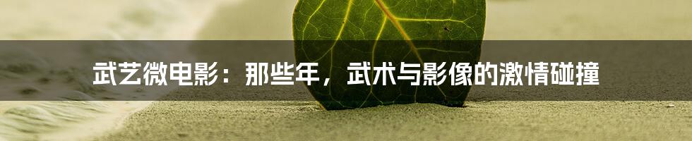 武艺微电影:那些年,武术与影像的激情碰撞