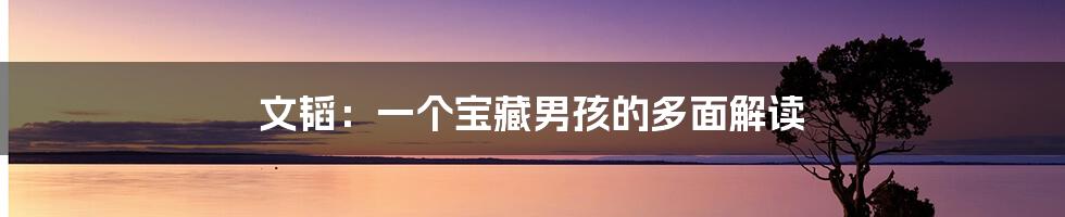 文韬:一个宝藏男孩的多面解读
