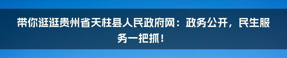 带你逛逛贵州省天柱县人民政府网:政务公开,民生服务一把抓!