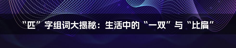 “匹”字组词大揭秘:生活中的“一双”与“比肩”