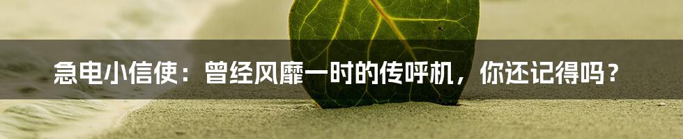急电小信使:曾经风靡一时的传呼机,你还记得吗?