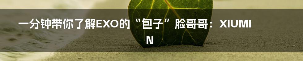一分钟带你了解EXO的“包子”脸哥哥:XIUMIN