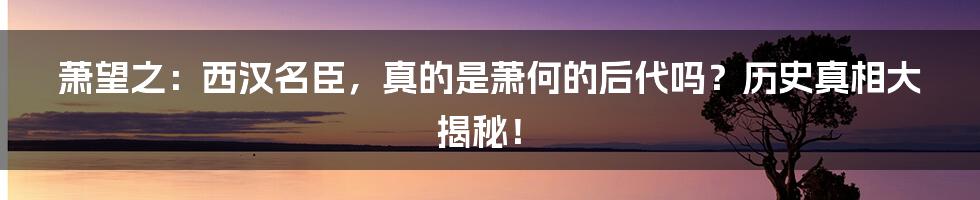 萧望之:西汉名臣,真的是萧何的后代吗?历史真相大揭秘!