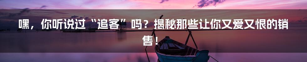 嘿,你听说过“追客”吗?揭秘那些让你又爱又恨的销售!