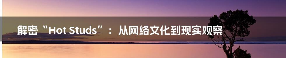解密“Hot Studs”:从网络文化到现实观察