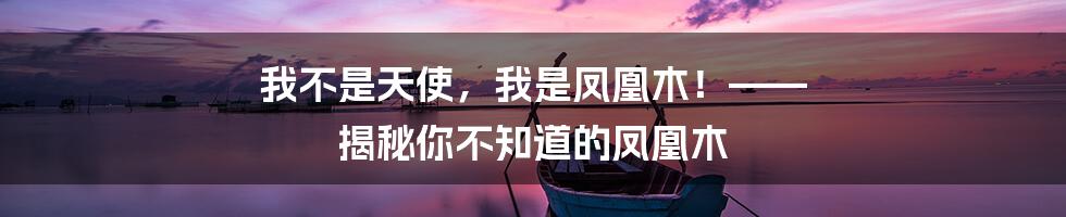 我不是天使,我是凤凰木!—— 揭秘你不知道的凤凰木