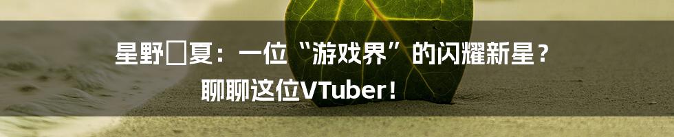 星野姫夏:一位“游戏界”的闪耀新星? 聊聊这位VTuber!