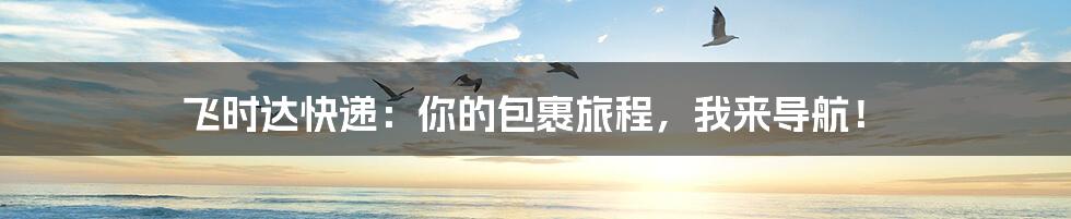 飞时达快递：你的包裹旅程，我来导航！