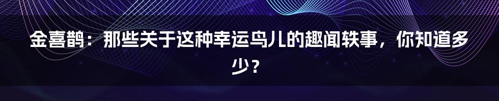 金喜鹊：那些关于这种幸运鸟儿的趣闻轶事，你知道多少？
