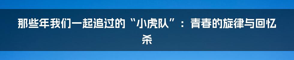 那些年我们一起追过的“小虎队”:青春的旋律与回忆杀