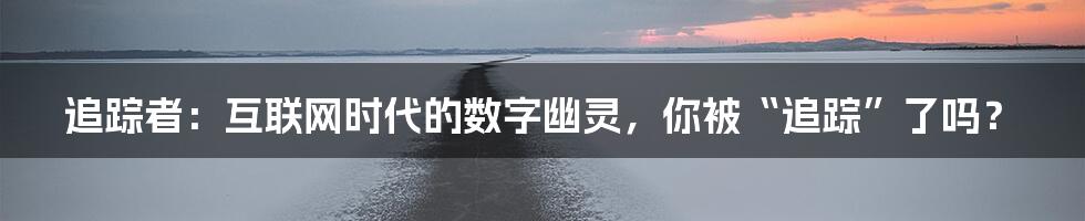 追踪者:互联网时代的数字幽灵,你被“追踪”了吗?