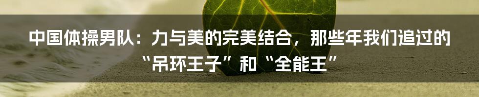 中国体操男队:力与美的完美结合,那些年我们追过的“吊环王子”和“全能王”