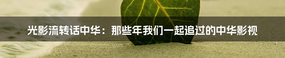 光影流转话中华：那些年我们一起追过的中华影视