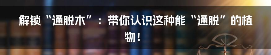 解锁“通脱木”：带你认识这种能“通脱”的植物！