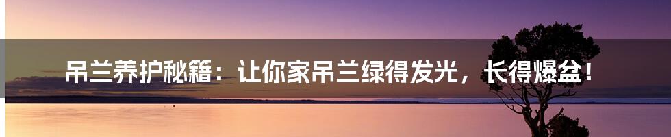 吊兰养护秘籍：让你家吊兰绿得发光，长得爆盆！