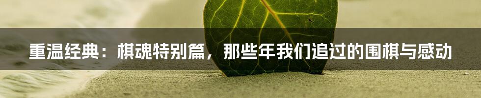 重温经典:棋魂特别篇,那些年我们追过的围棋与感动