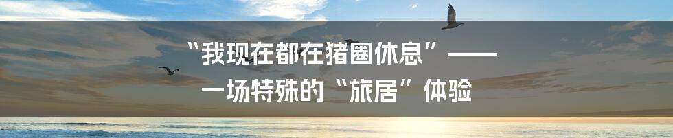“我现在都在猪圈休息”—— 一场特殊的“旅居”体验