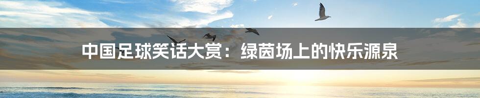 中国足球笑话大赏:绿茵场上的快乐源泉