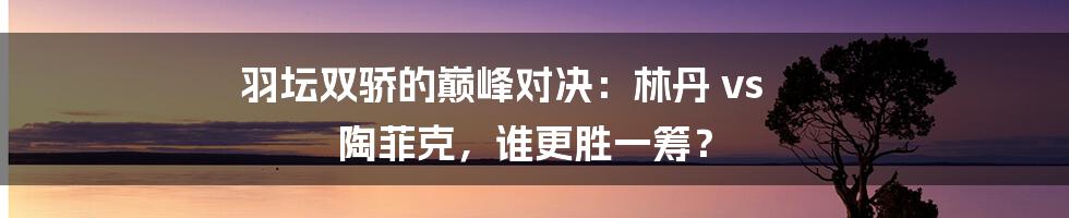 羽坛双骄的巅峰对决:林丹 vs 陶菲克,谁更胜一筹?