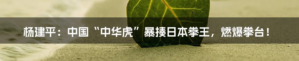 杨建平:中国“中华虎”暴揍日本拳王,燃爆拳台!
