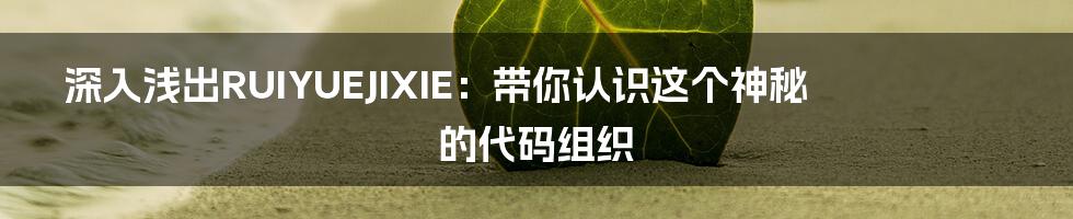 深入浅出RUIYUEJIXIE:带你认识这个神秘的代码组织