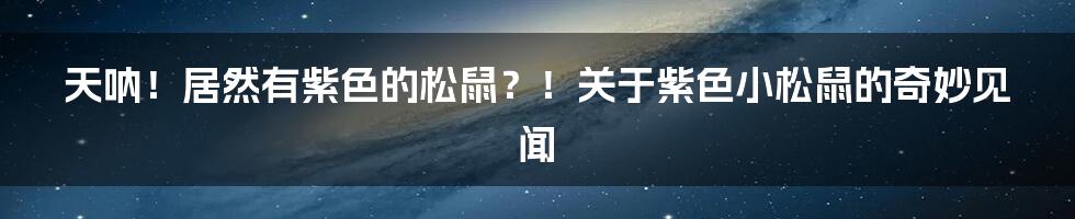 天呐!居然有紫色的松鼠?!关于紫色小松鼠的奇妙见闻