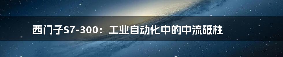 西门子S7-300:工业自动化中的中流砥柱