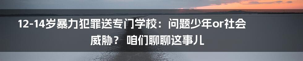 12-14岁暴力犯罪送专门学校：问题少年or社会威胁？ 咱们聊聊这事儿