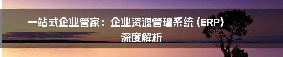 一站式企业管家:企业资源管理系统 (ERP) 深度解析