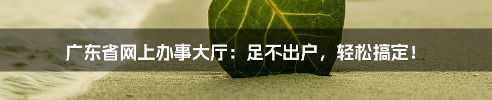 广东省网上办事大厅:足不出户,轻松搞定!