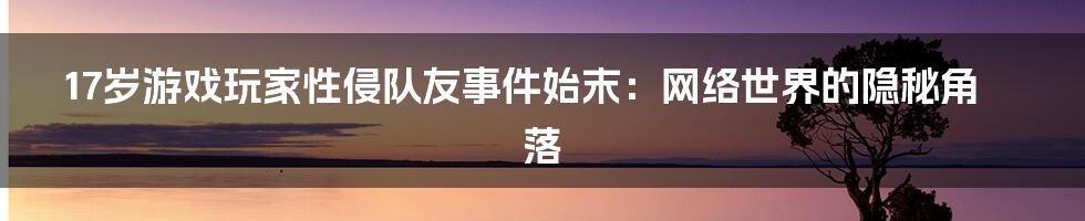 17岁游戏玩家性侵队友事件始末:网络世界的隐秘角落