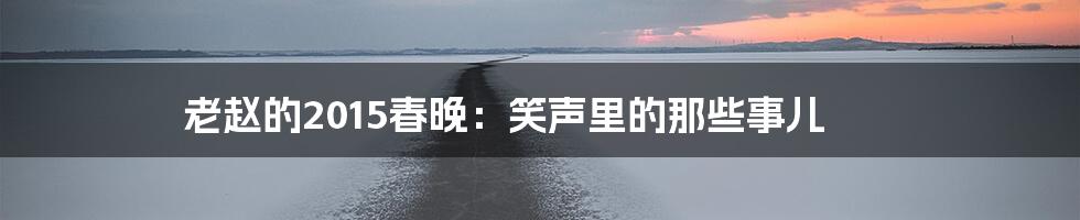 老赵的2015春晚:笑声里的那些事儿