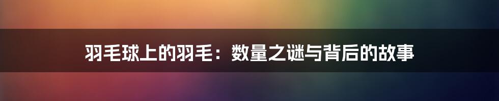 羽毛球上的羽毛:数量之谜与背后的故事