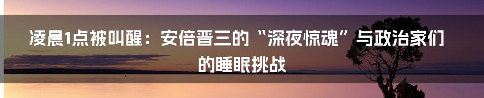 凌晨1点被叫醒:安倍晋三的“深夜惊魂”与政治家们的睡眠挑战