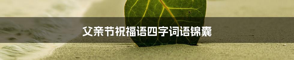 父亲节祝福语四字词语锦囊