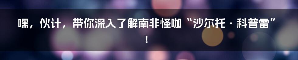 嘿,伙计,带你深入了解南非怪咖“沙尔托·科普雷”!