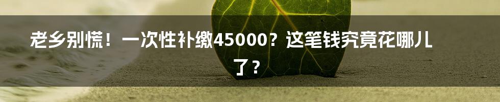 老乡别慌!一次性补缴45000?这笔钱究竟花哪儿了?